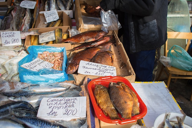 写真 ロシアでの見本市での様々な魚の販売市場の魚とのカウンター