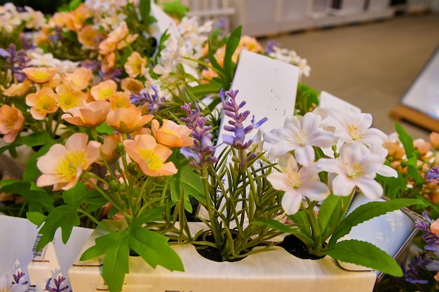 Foto vendita di vari fiori e piante nel negozio di design e interni