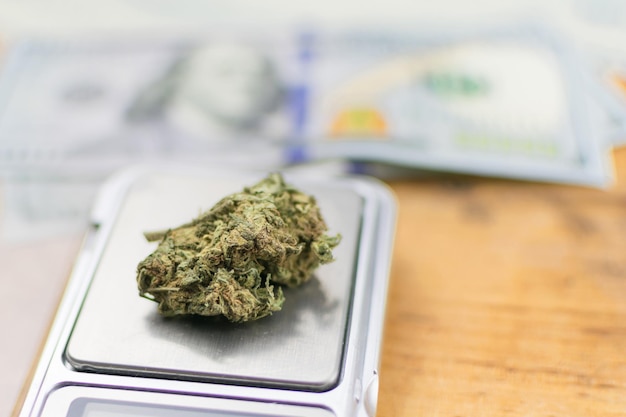 Продажа взвешивания марихуаны Бутон марихуаны на ювелирных весах на фоне долларов