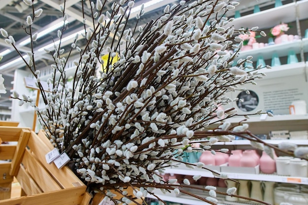 Sale of willow branches in a design and interior store