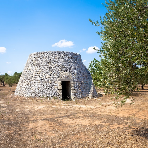 In Salento area, south of Italy, a traditional rural warehouse named Furnieddhu in local dialect. It's a traditional building made of stone in olives agricultural area.