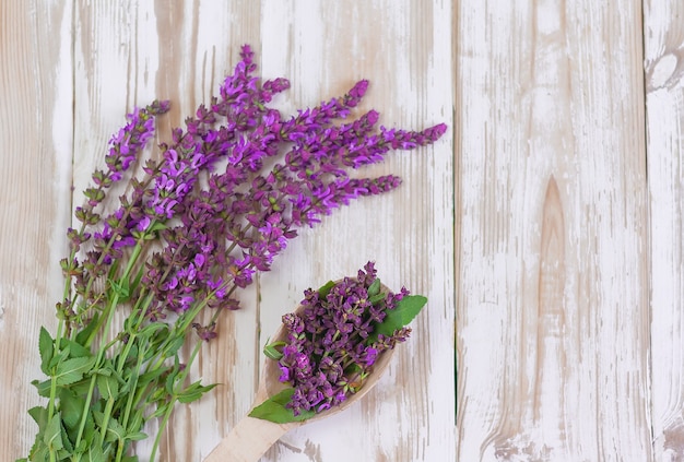 Salie bloemen op witte houten achtergrond met kopie ruimte. geneeskrachtige kruiden, specerijen, aromatherapie, homeopathie, natuurlijke cosmetica.