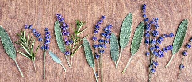 Salie laat lavendel en rozemarijn op een houten ondergrond verse pittige kruiden