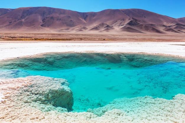 Salinas in Argentina