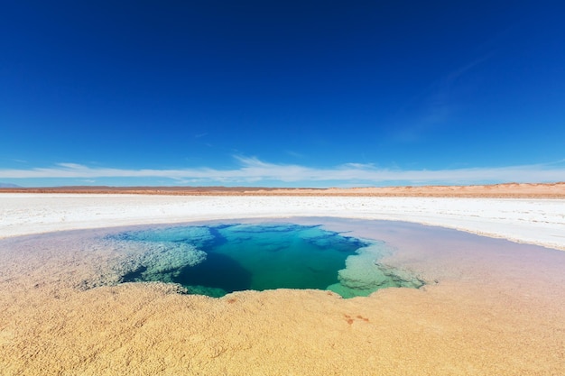 Salinas in Argentina