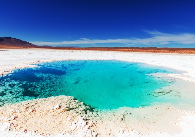 Salinas in Argentina