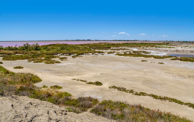 SalindeGiraud