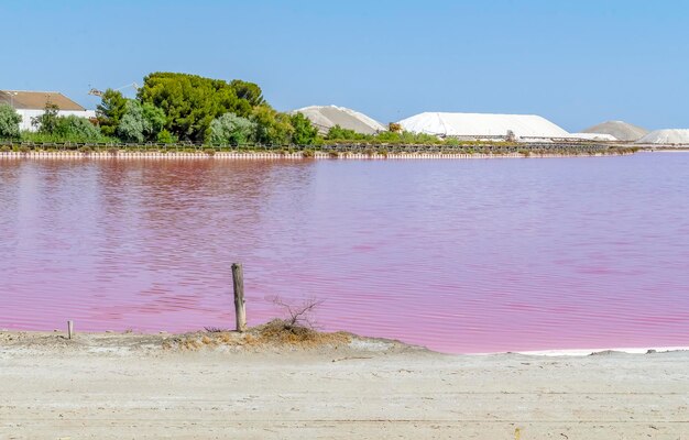 Photo saline in the camargue