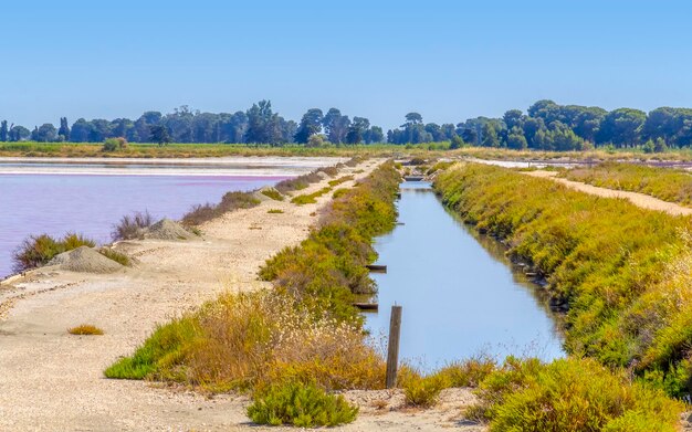 Photo saline in the camargue