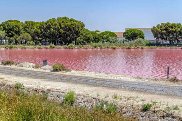 Photo saline in the camargue