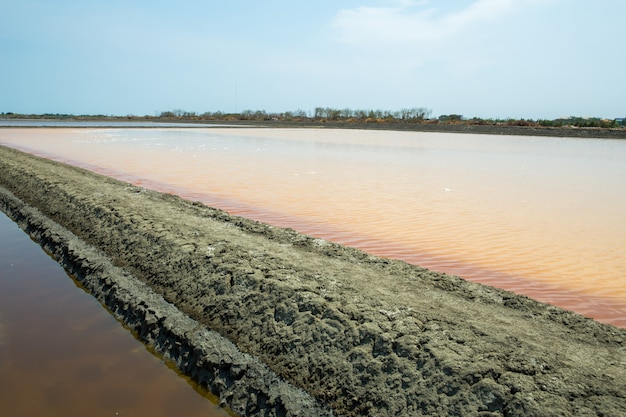 Saline, salt mining, naklua in thailand