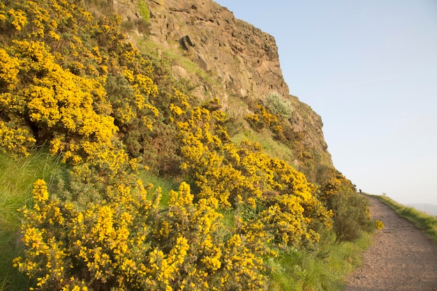 Salisbury Crags in Edinburgh, Schotland