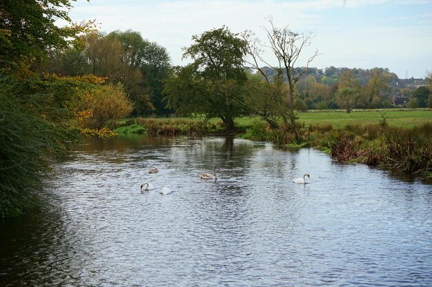 Foto salisbury river avon foto