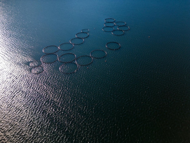 写真 川空撮でサーモン養魚場