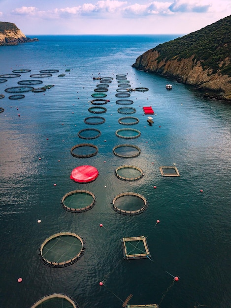 Salmon fish farm with floating cages in Greece Aerial view