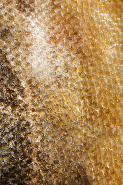 Salmon golden fish scales grunge texture background