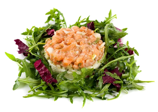 Salmon tartare on a white background