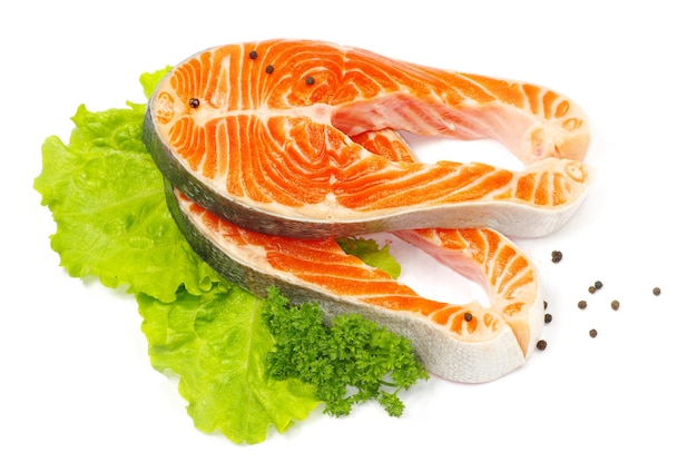 Salmon