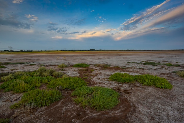 Salpeter op de vloer van een lagune in een semi-woestijnomgeving La Pampa provincie Patagonië Argentinië