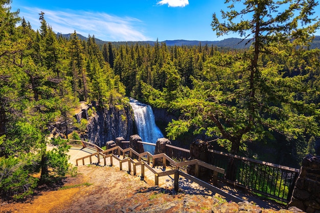 Photo salt creek falls with a wooden railing in oregon usa