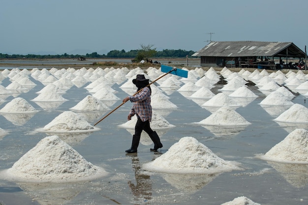 Salt farmers carry salt into the shed