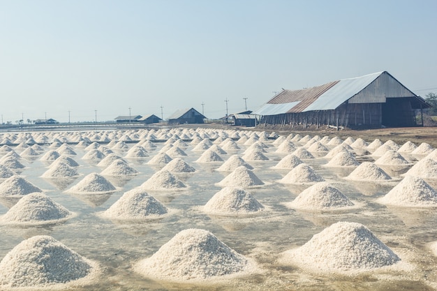 Photo salt fields in phetchaburi province in thailand