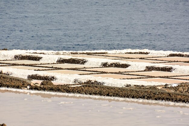 Salt Flats in the Canry islands