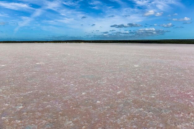 Соляная лагунаDunaliella salina окраска Ла Пампа Аргентина