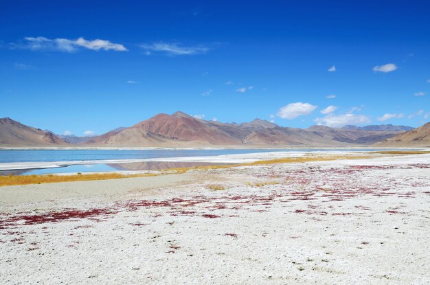 Foto lago salato in ladakh