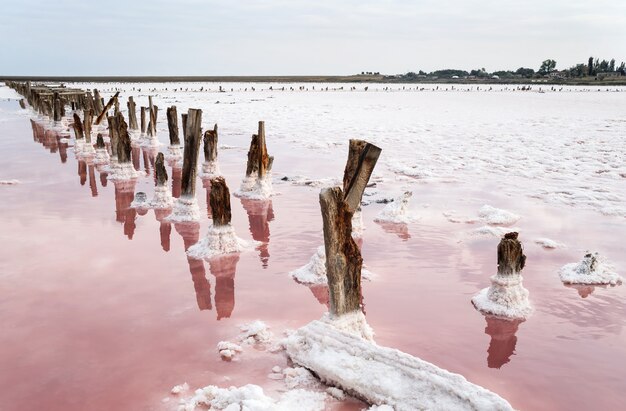 Salt Lake met roze water.