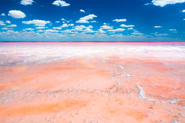 Salt lake with pink salt and the blue sky with clouds. Sasyk-Sivash pink salt lake in Crimea. Summer landscape