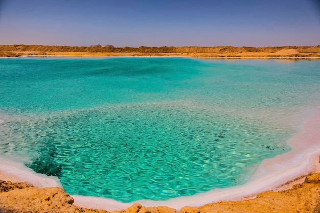 写真 エジプトのシワ オアシス近くの海岸に青緑色の水と白い塩がある塩湖