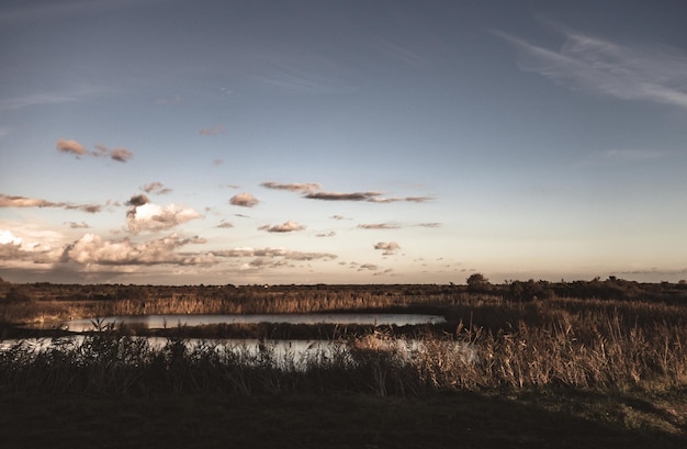 Salt marshes at sunset on Re island France