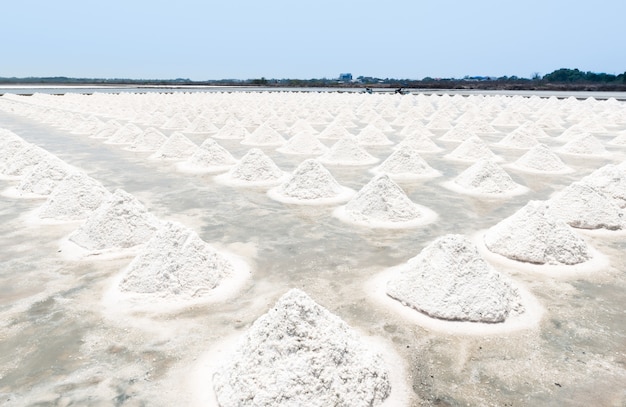 salt pan in Thailand