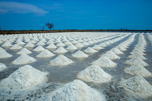 Photo salt pile of table salt