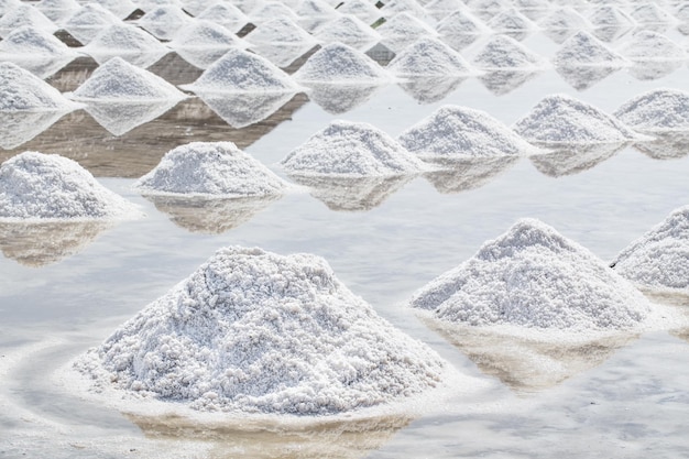 Photo salt piles in the saline from samutsakorn thailand