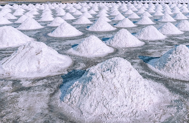 Photo salt produce farm make from natural ocean salty water at samut songkhramthailand