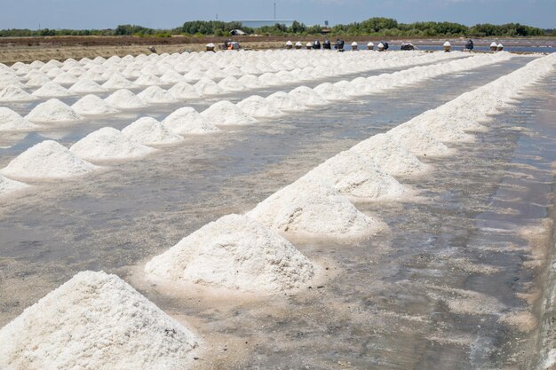 Salt raw material drying for keep to sell in market.