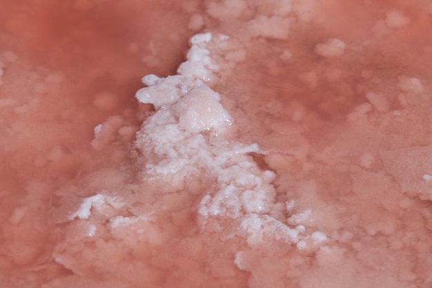 Salt on surface of salty pink lake closeup Product used in cosmetology and alternative medicine