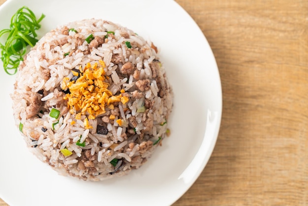 Salted Chinese Black Olive Fried Rice with Minced Pork - Asian food style