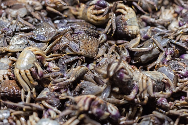 Salted crab or pickled crab in the market, Thai street food.