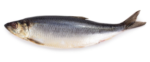 Salted herring isolated on white background closeup