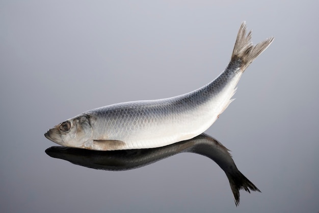 Salted herring on a mirror background