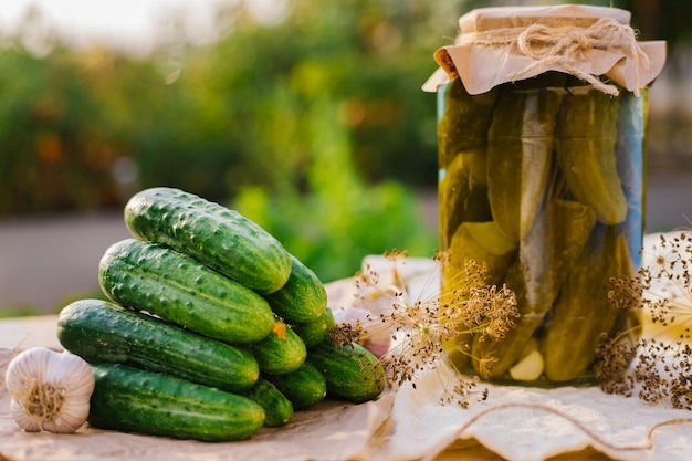 Salted pickled cucumbers in a jar on a wooden table in the garden Cucumbers herbs dill garlic Preservation conservation Background copy space Sunny bright day