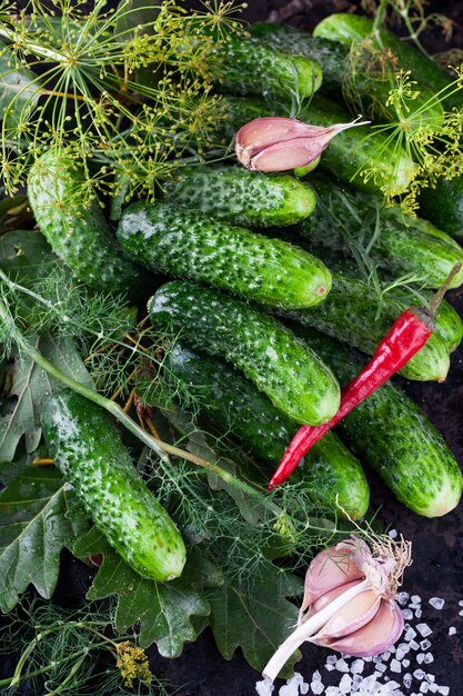 Salted ,pickled cucumbers