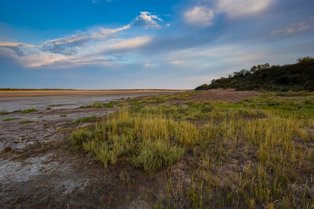 Saltpeter on the floor of a lagoon in a semi desert environment La Pampa province Patagonia Argentina