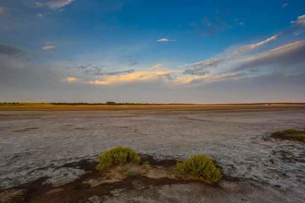 Saltpeter on the floor of a lagoon in a semi desert environment La Pampa province Patagonia Argentina