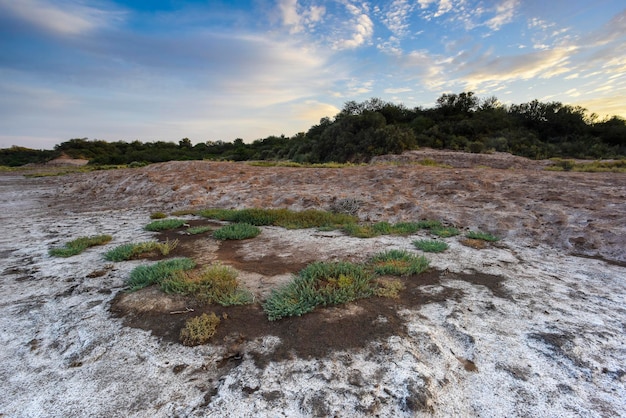 Il salnitro sul pavimento di una laguna in un ambiente semi desertico la pampa provincia patagonia argentina