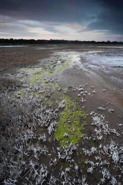 Foto il salnitro sul pavimento di una laguna in un ambiente semi desertico la pampa provincia patagonia argentina