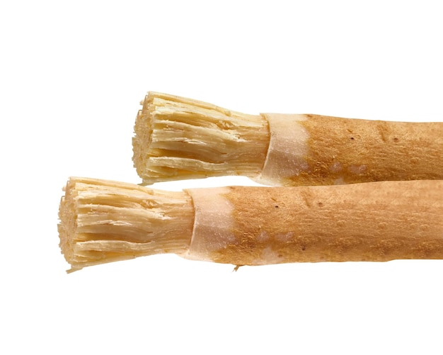 Salvadora persica toothbrush tree miswak arak leaves and fruits used in traditional medicine